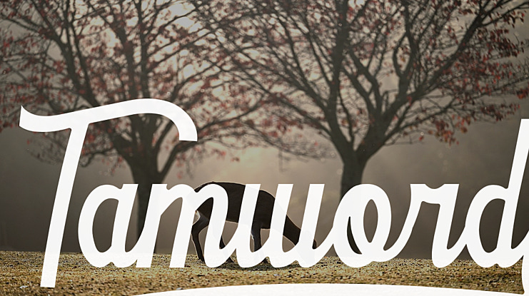 Tamword Font