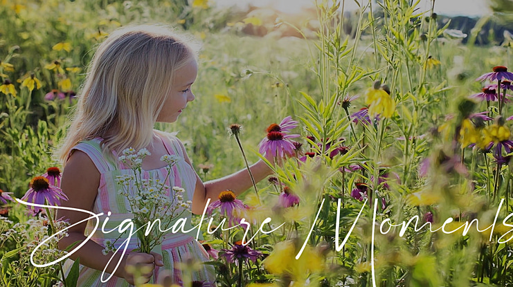 Signature Moments Font