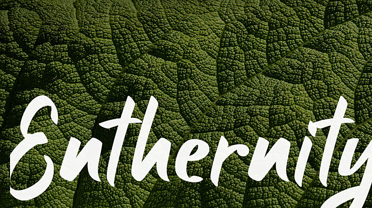 Enthernity Font
