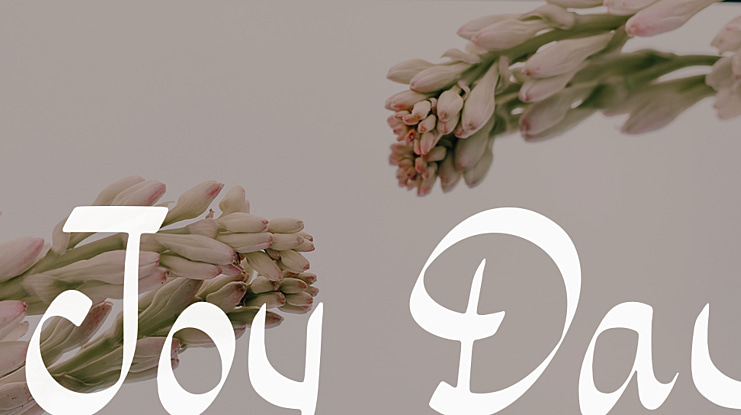Joy Day Font