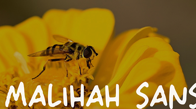 Malihah Sans Font
