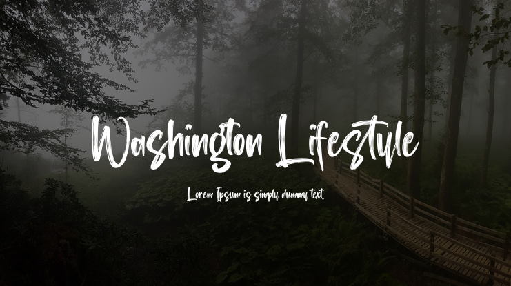 Washington Lifestyle Font