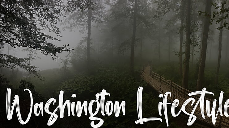 Washington Lifestyle Font