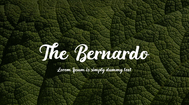 The Bernardo Font