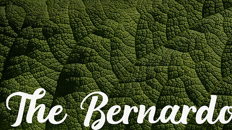 The Bernardo Font