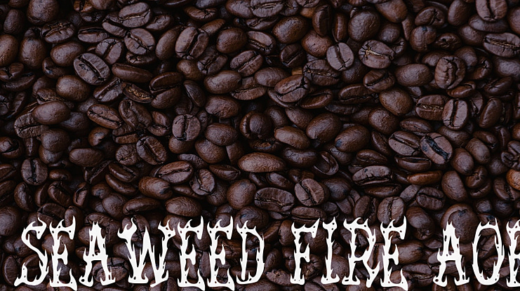 Seaweed Fire AOE Font