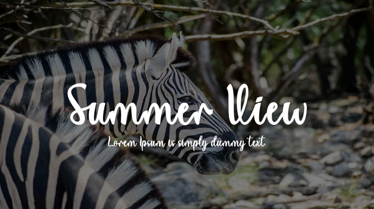 Summer View Font Family