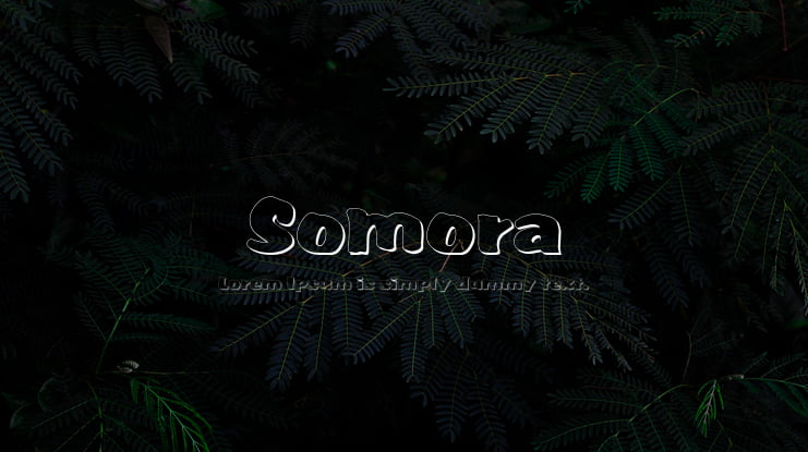 Somora Font
