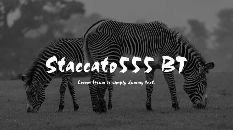 Staccato555 BT Font