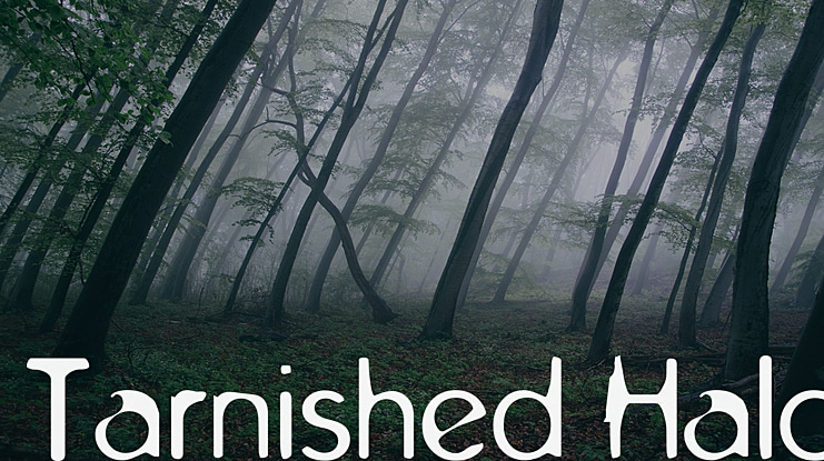 Tarnished Halo Font Family