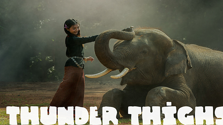 Thunder Thighs Font