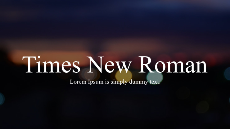 Times New Roman Font