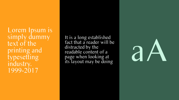 Times Sans Serif Font