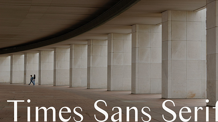 Times Sans Serif Font
