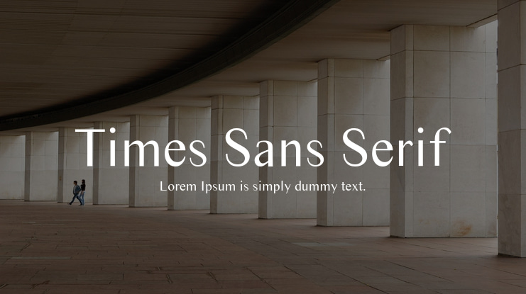 Times Sans Serif Font