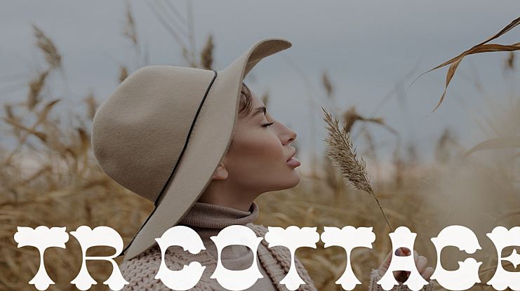 TR Cottage Font