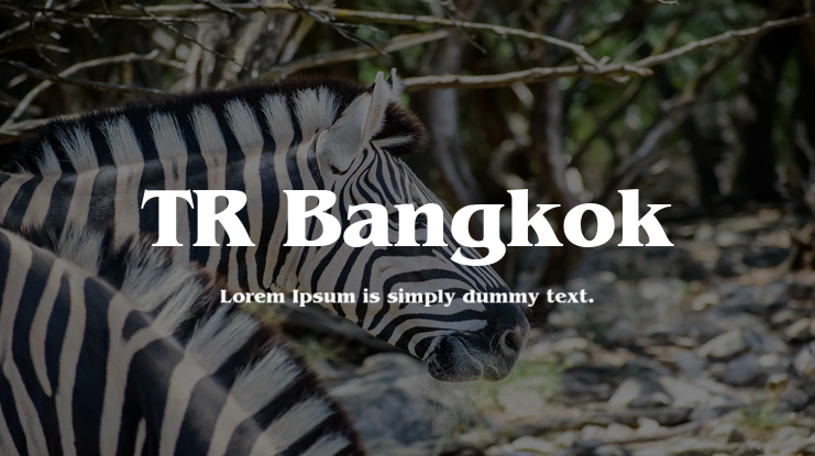 TR Bangkok Font