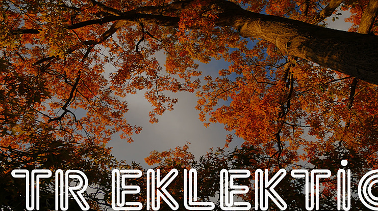 TR Eklektic Font