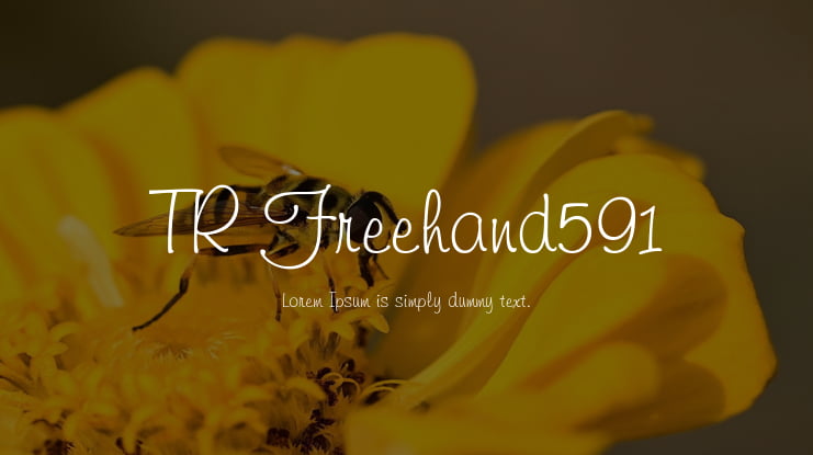 TR Freehand591 Font