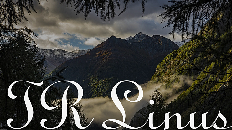 TR Linus Font