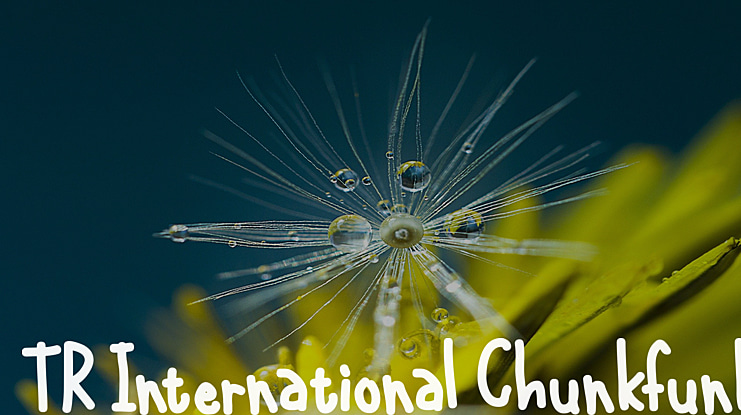 TR International Chunkfunk Font