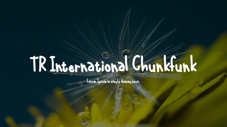 TR International Chunkfunk Font