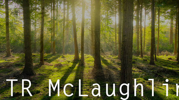 TR McLaughlin Font