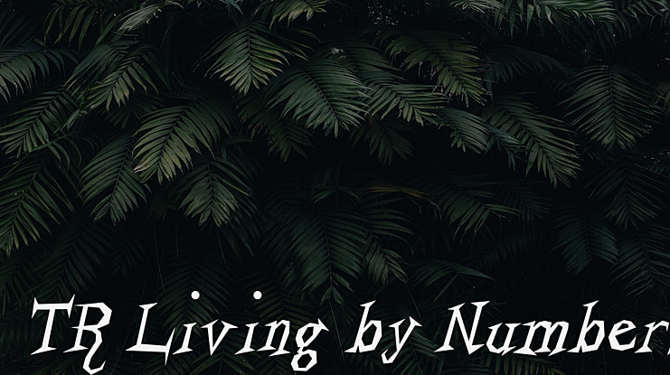 TR Living by Numbers Font