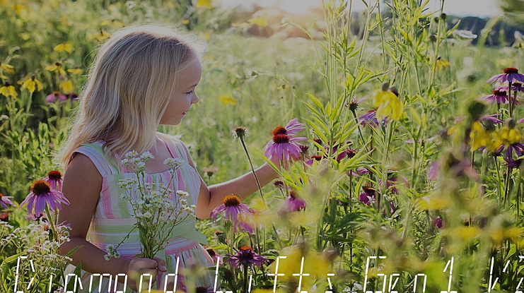 Diamond Lifts Gen1 V2 Font