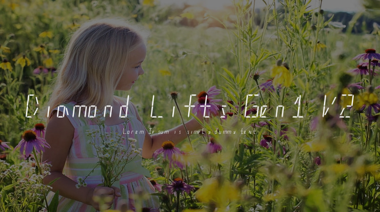 Diamond Lifts Gen1 V2 Font