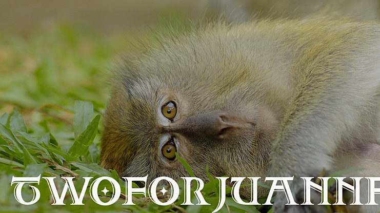 TwoForJuanNF Font