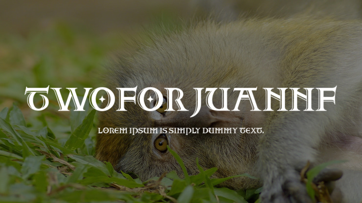TwoForJuanNF Font