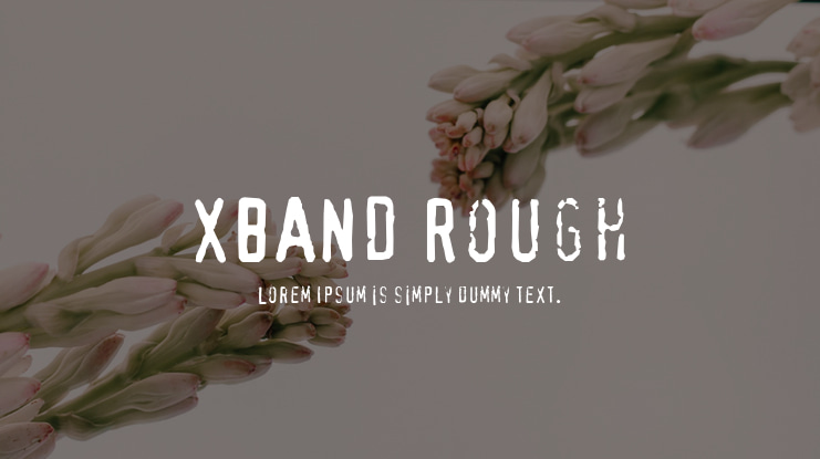 XBAND Rough Font