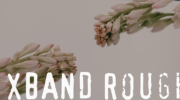 XBAND Rough Font