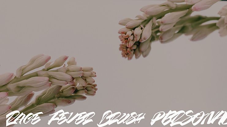 Race Fever Brush PERSONAL Font