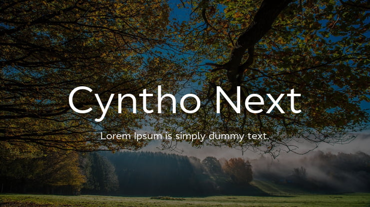 Cyntho Next Font Family