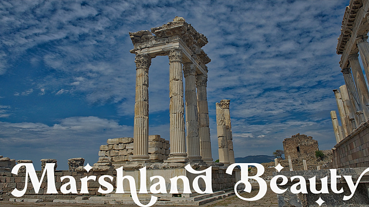 Marshland Beauty Font