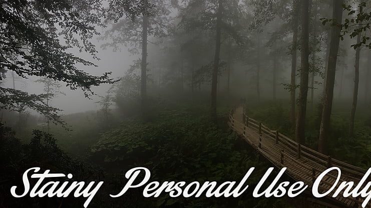 Stainy Personal Use Only Font