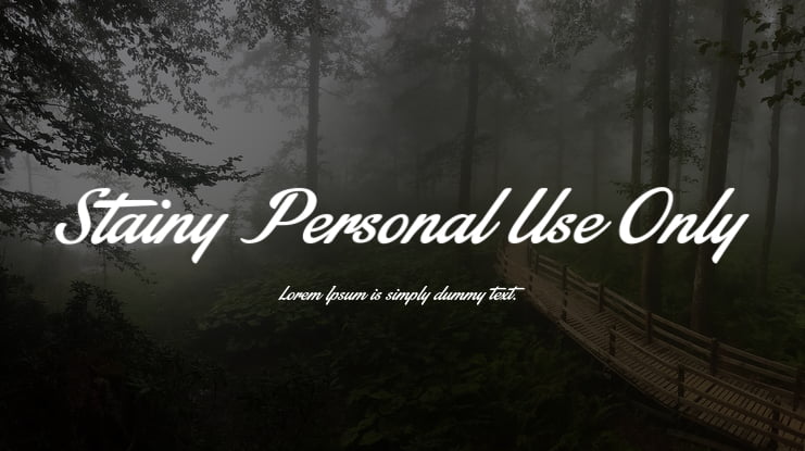 Stainy Personal Use Only Font