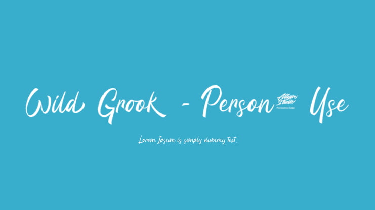 Wild Grook - Personal Use Font