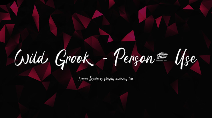 Wild Grook - Personal Use Font
