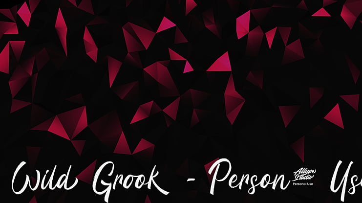 Wild Grook - Personal Use Font