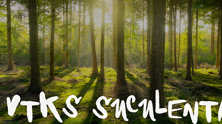 Vtks Suculenta Font