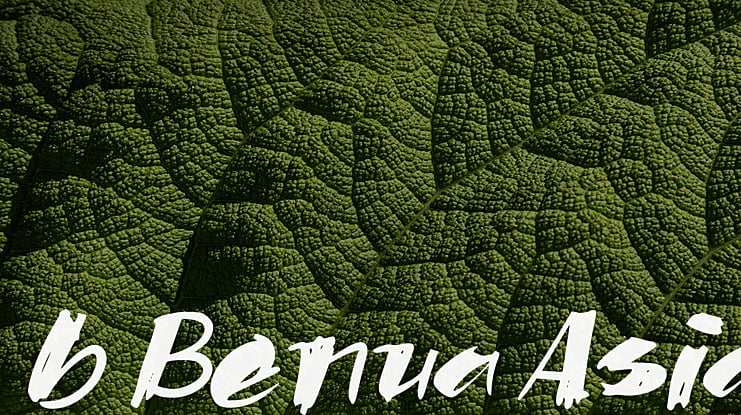 b Benua Asia Font