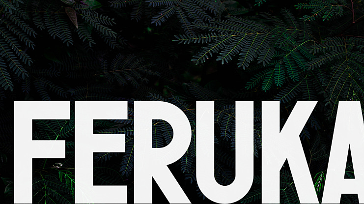 Feruka Font