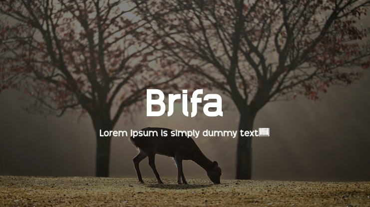Brifa Font Family
