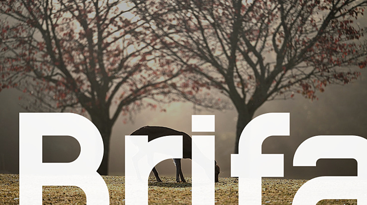 Brifa Font Family