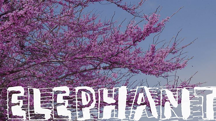ELEPHANT Font