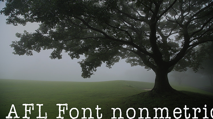 AFL Font nonmetric