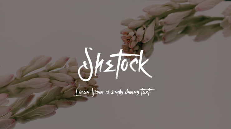 Shetock Font